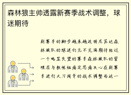森林狼主帅透露新赛季战术调整，球迷期待